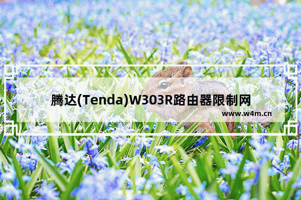 腾达(Tenda)W303R路由器限制网速(宽带控制)设置上网