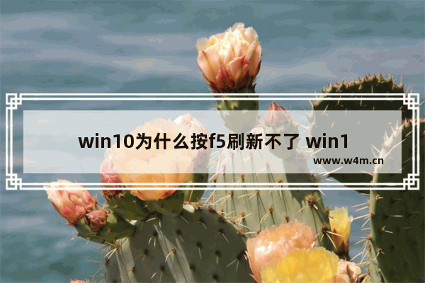 win10为什么按f5刷新不了 win10按f5刷新不了解决办法