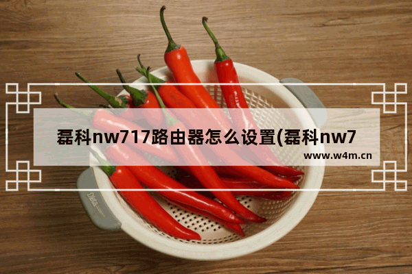 磊科nw717路由器怎么设置(磊科nw711路由器设置教程)