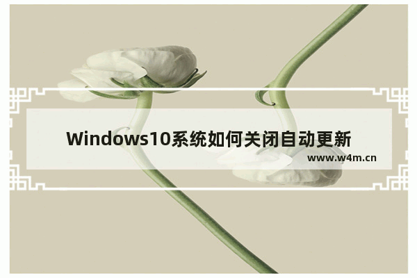 Windows10系统如何关闭自动更新