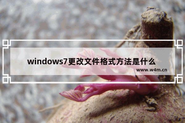 windows7更改文件格式方法是什么 windows7更改文件格式方法介绍