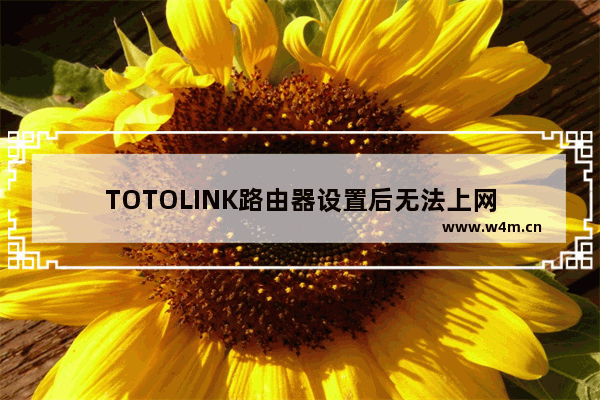 TOTOLINK路由器设置后无法上网