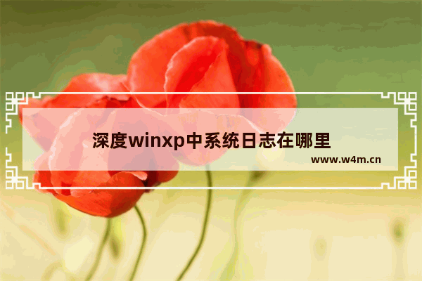 深度winxp中系统日志在哪里