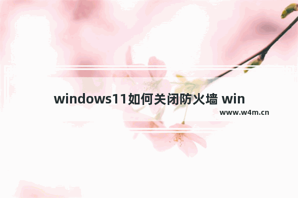 windows11如何关闭防火墙 windows11如何关闭防火墙方法介绍