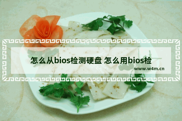 怎么从bios检测硬盘 怎么用bios检查硬盘