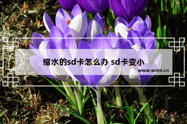 缩水的sd卡怎么办 sd卡变小