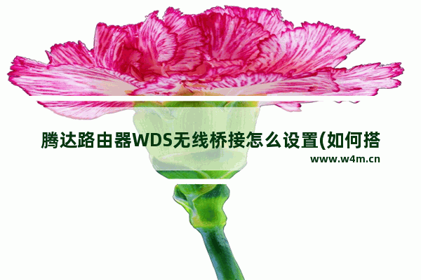 腾达路由器WDS无线桥接怎么设置(如何搭建腾达路由器WDS无线网桥)