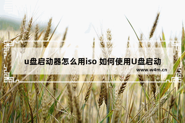 u盘启动器怎么用iso 如何使用U盘启动ISO文件？