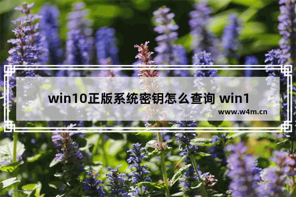 win10正版系统密钥怎么查询 win10正版系统密钥查询方法