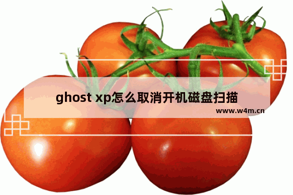 ghost xp怎么取消开机磁盘扫描