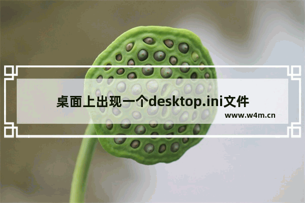 桌面上出现一个desktop.ini文件是怎么回事