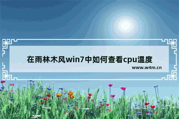 在雨林木风win7中如何查看cpu温度