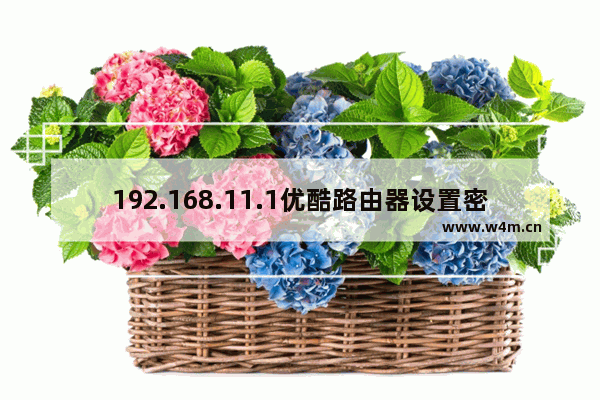 192.168.11.1优酷路由器设置密码