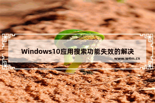 Windows10应用搜索功能失效的解决方法