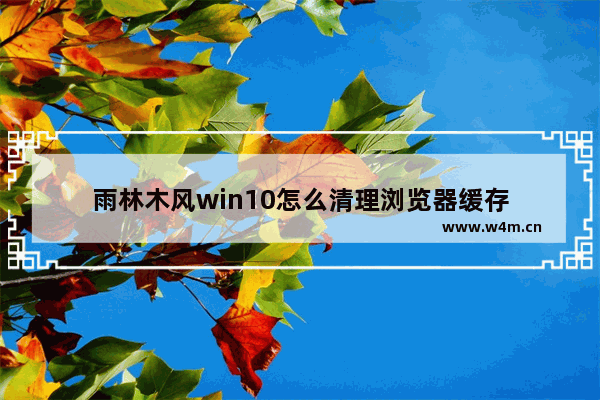 雨林木风win10怎么清理浏览器缓存