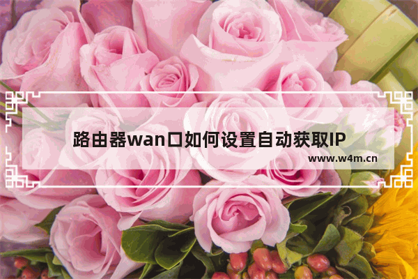 路由器wan口如何设置自动获取IP