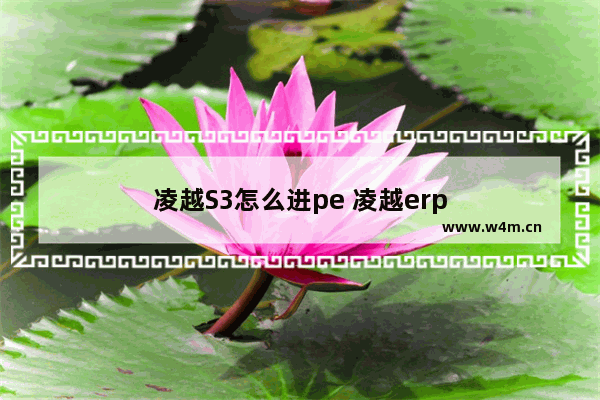 凌越S3怎么进pe 凌越erp