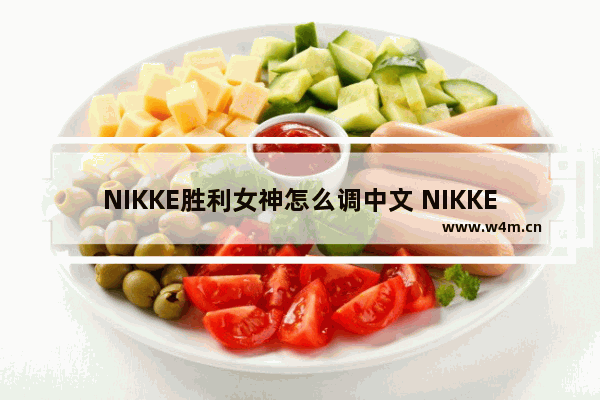 NIKKE胜利女神怎么调中文 NIKKE胜利女神中文设置方法