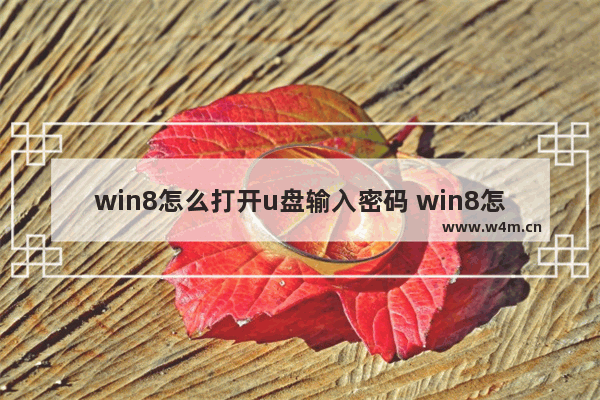 win8怎么打开u盘输入密码 win8怎么打开加密u盘