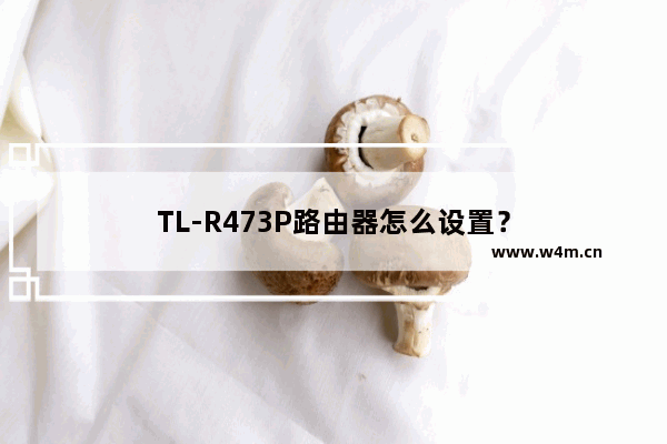 TL-R473P路由器怎么设置？