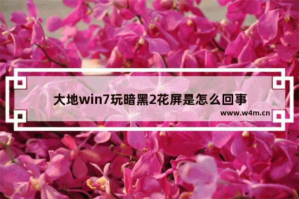 大地win7玩暗黑2花屏是怎么回事