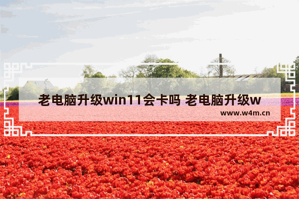 老电脑升级win11会卡吗 老电脑升级win11很卡怎么解决