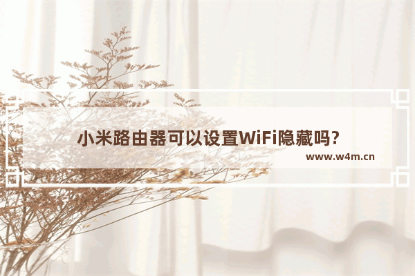 小米路由器可以设置WiFi隐藏吗?