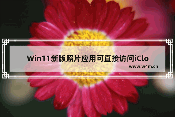 Win11新版照片应用可直接访问iCloud照片 Win11新版照片应用新功能一览