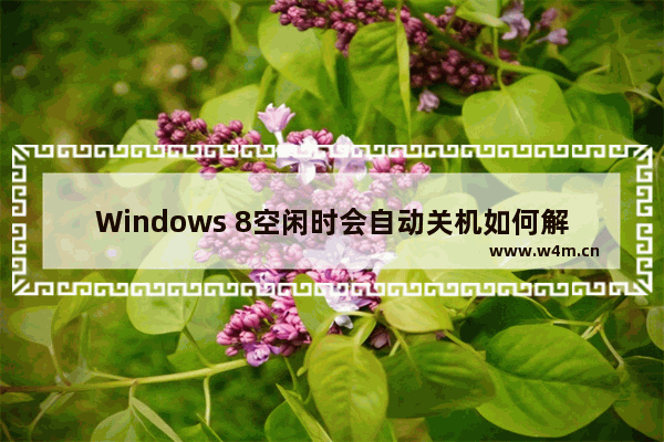 Windows 8空闲时会自动关机如何解决？