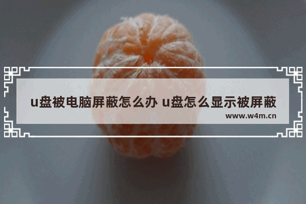 u盘被电脑屏蔽怎么办 u盘怎么显示被屏蔽的文件