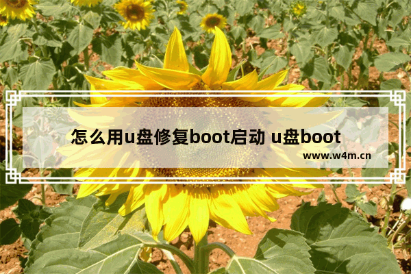 怎么用u盘修复boot启动 u盘bootex怎么恢复