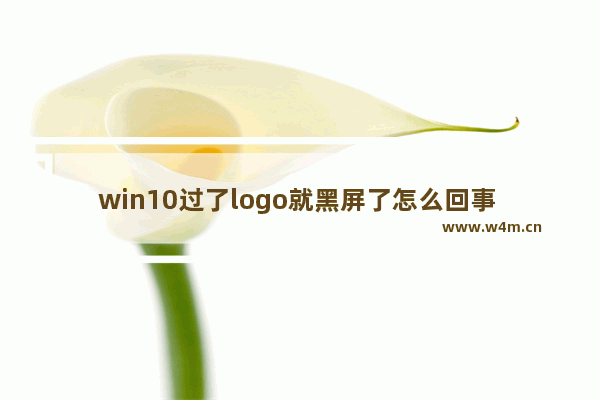 win10过了logo就黑屏了怎么回事 win10过了logo就黑屏了怎么解决