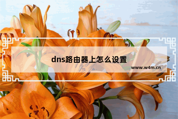 dns路由器上怎么设置