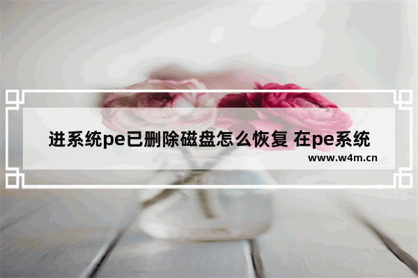 进系统pe已删除磁盘怎么恢复 在pe系统删除的文件能找回吗