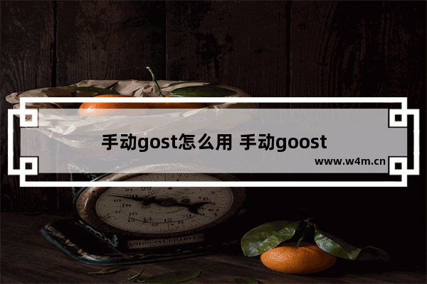 手动gost怎么用 手动goost