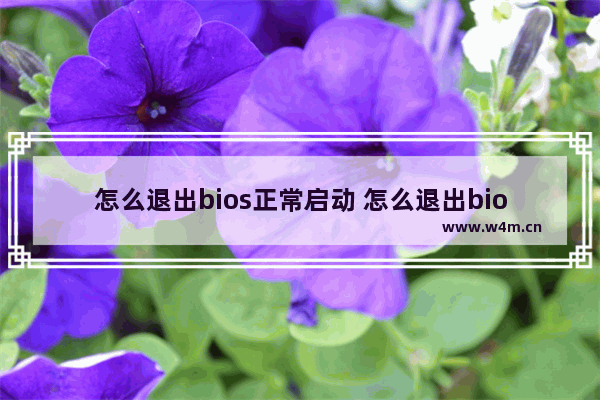 怎么退出bios正常启动 怎么退出bios正常启动界面