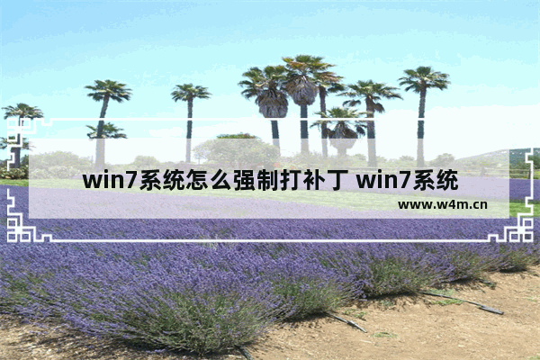 win7系统怎么强制打补丁 win7系统怎么强制打补丁文件