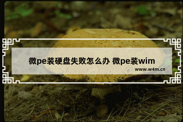 微pe装硬盘失败怎么办 微pe装wim