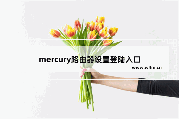 mercury路由器设置登陆入口