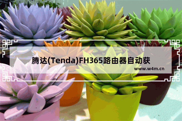 腾达(Tenda)FH365路由器自动获取(DHCP)设置上网