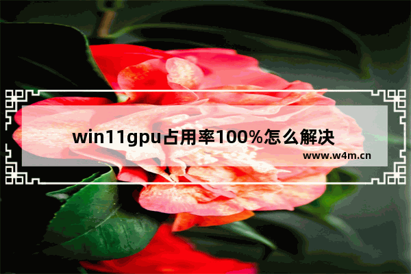 win11gpu占用率100%怎么解决 win11gpu占用率100%解决方案