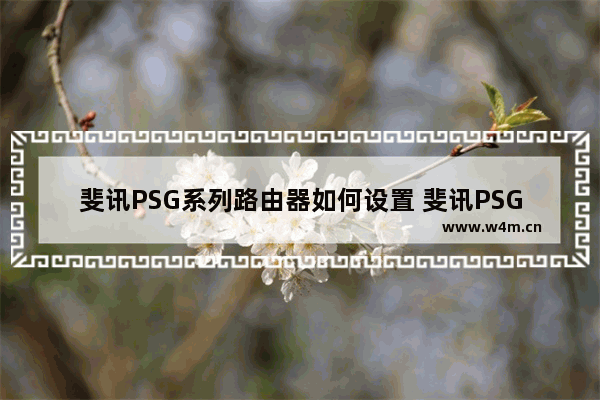 斐讯PSG系列路由器如何设置 斐讯PSG系列路由器设置方法【教程】