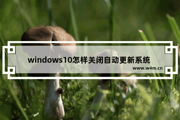 windows10怎样关闭自动更新系统 windows10关闭自动更新方法介绍