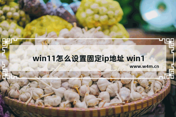 win11怎么设置固定ip地址 win11设置固定IP教程