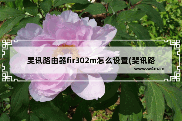 斐讯路由器fir302m怎么设置(斐讯路由器fir302b怎么设置)