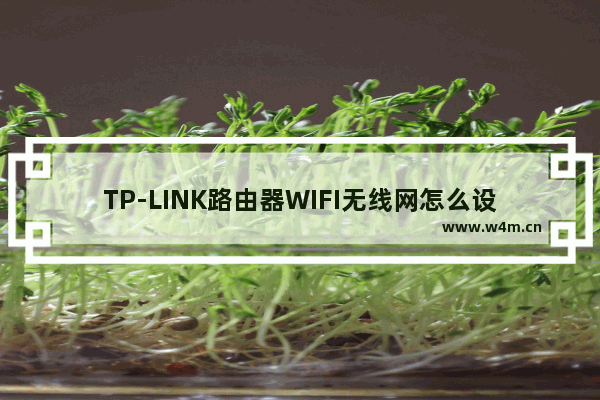 TP-LINK路由器WIFI无线网怎么设置