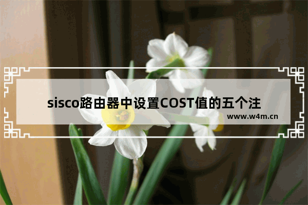 sisco路由器中设置COST值的五个注意事项