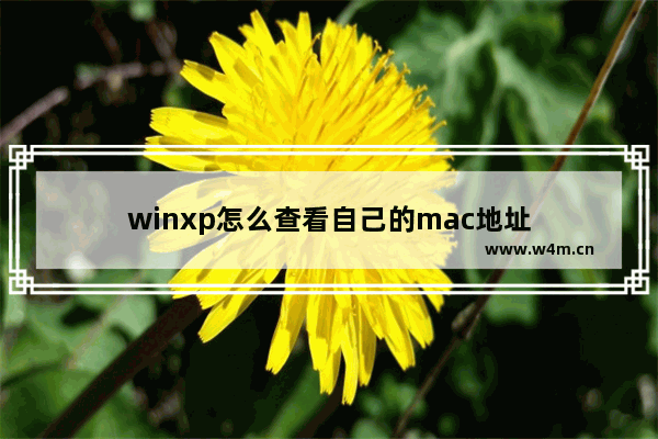 winxp怎么查看自己的mac地址