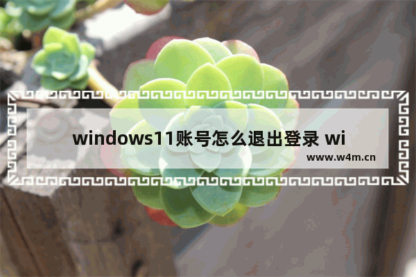 windows11账号怎么退出登录 windows11账号怎么退出登录方法介绍