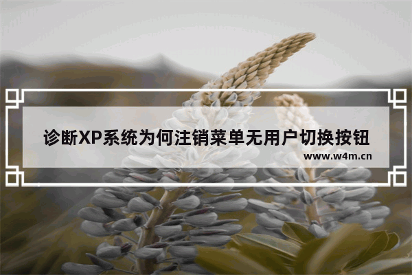 诊断XP系统为何注销菜单无用户切换按钮